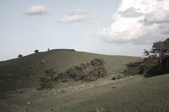 Killikus&reg; Fotographie